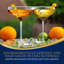Ensemble 2 pièces de 10 oz. Ansaa Ensemble de verres à martini-1620946267