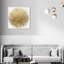 Sunburst Adore - impression-119405849-72508286-72508280