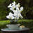 Natural Fibres Orchids Arrangement in Pot