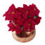 Plastic, Silk Artificial Arrangement in Pot-101685280