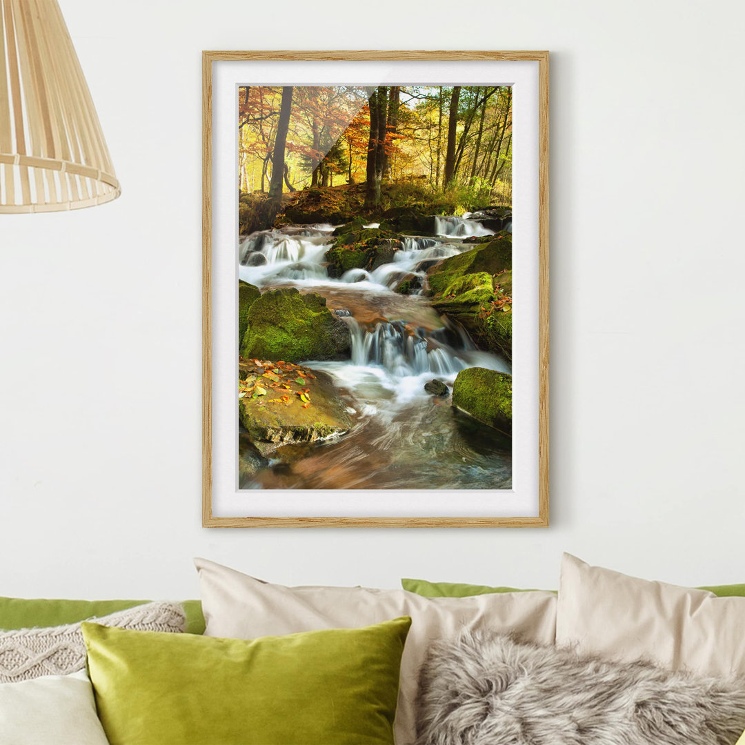 Fotodruck Wasserfall in einem herbstlichen Wald