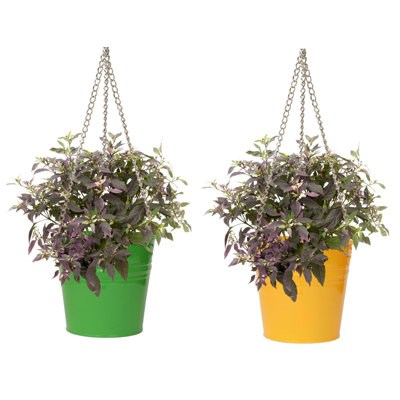Ensemble de 2 pots suspendus en émail