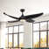 Coronado 55.62'' Ceiling Fan with LED Lights