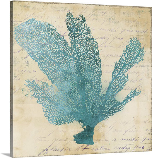 Coral Coastal Highland Dunes 