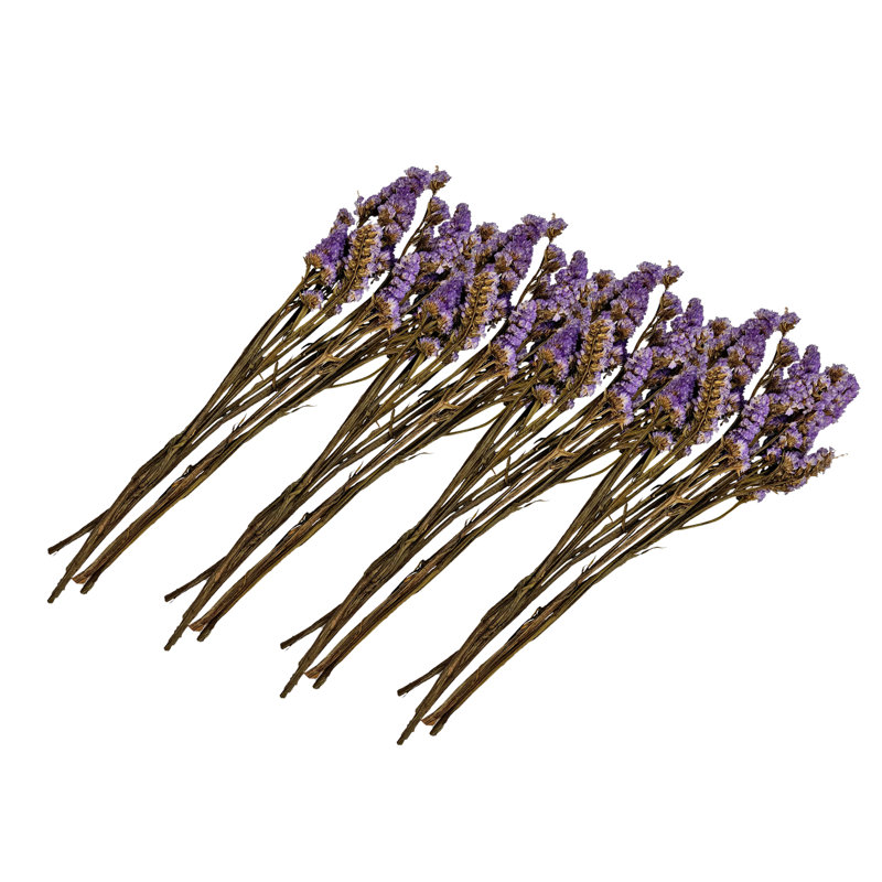 Ensemble de 4 bouquets Myosotis séchés conservés Forget-Me-Nots 21 po, Mauve