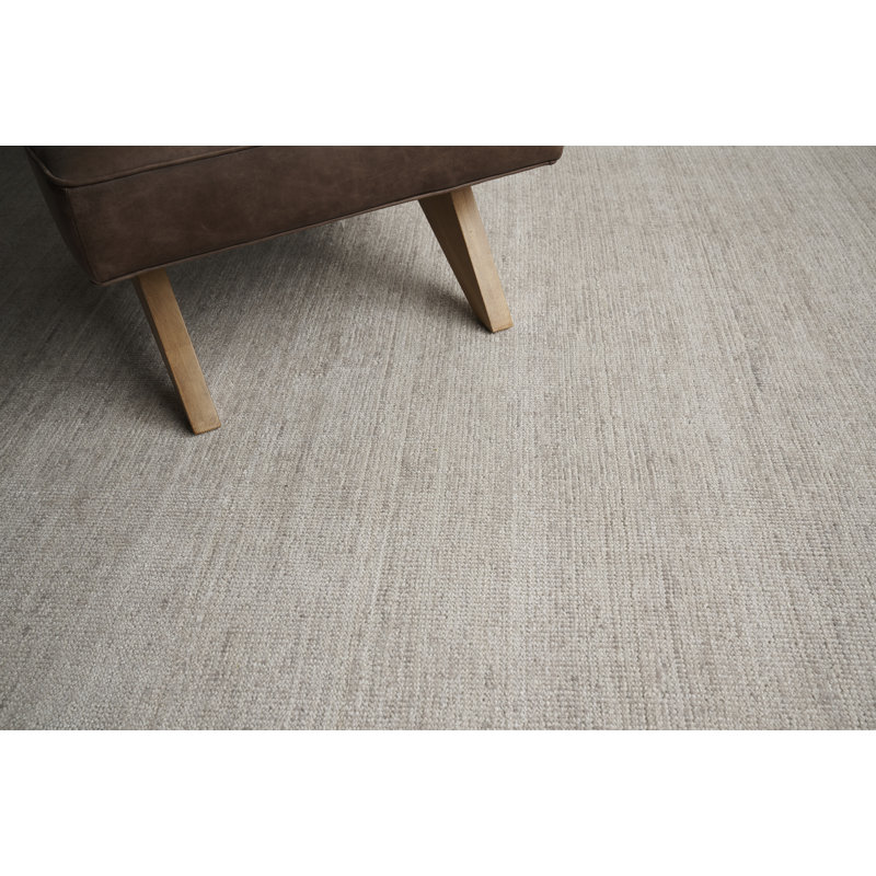 Catalina Hand-Loomed Synthetic Silver Area Rug, Rectangle 12' x 15'