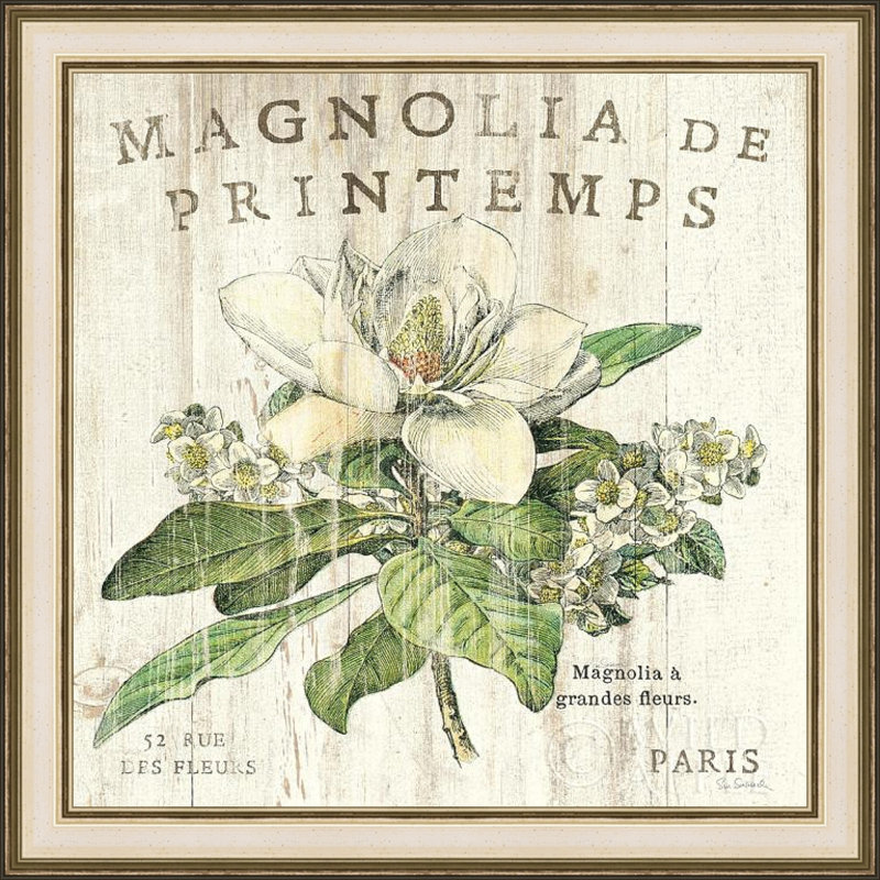 « magnolia de printemps », reproduction d’impression encadrée
