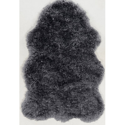 Rudisill Hand Tufted Indoor Rug
