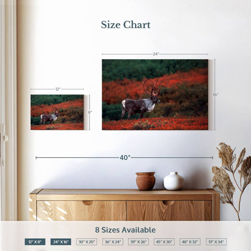 Caribou d'automne Brampt, H 16 po x l 24 po