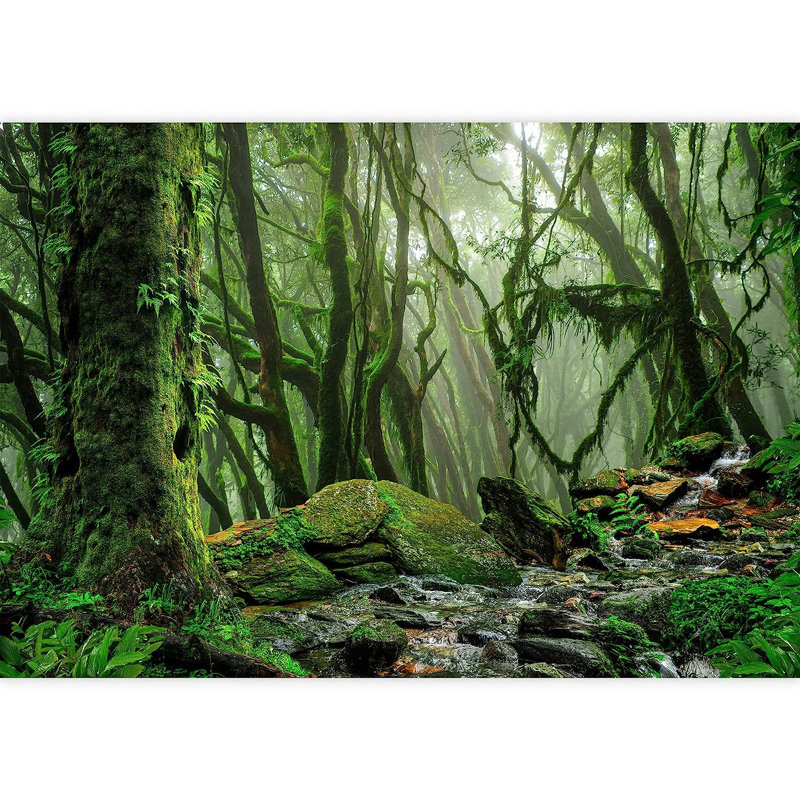 Panneau mural Mystic Misty Foggy Forest Path L 144 pi x l 100 po, L 66 po x l 96 po