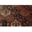 Tapis traditionnel en laine Garden Design 9 x 13