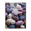 Beach Shells and Shadows III - Horloge murale nautique et de plage surdimensionnée-99628994