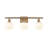 Bianaca 3 - Light Dimmable Vanity Light-895184047