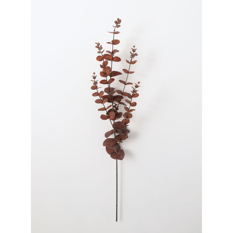 Jet eucalyptus