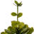 14.5'' Faux Succulent in Cement Pot