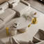 Saniveieri-455858170-455858167