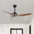 Artisha 50'' Ceiling Fan-684973090