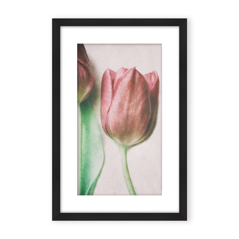 Nature Inspired The Spring Lovers by  - Picture Frame Graphic Art on Paper, Framed Canvas, 48" H x 32" W x 2.375" D, White