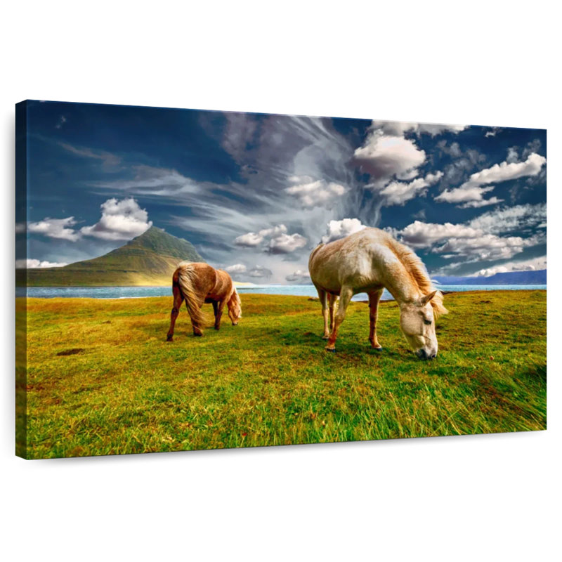 Crowle Grazing Horses