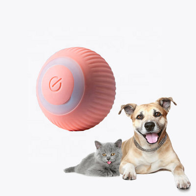 Jouet pour chat électrique rechargeable avec lumières DEL, jouet interactif amusant pour chatons et chats d'intérieur