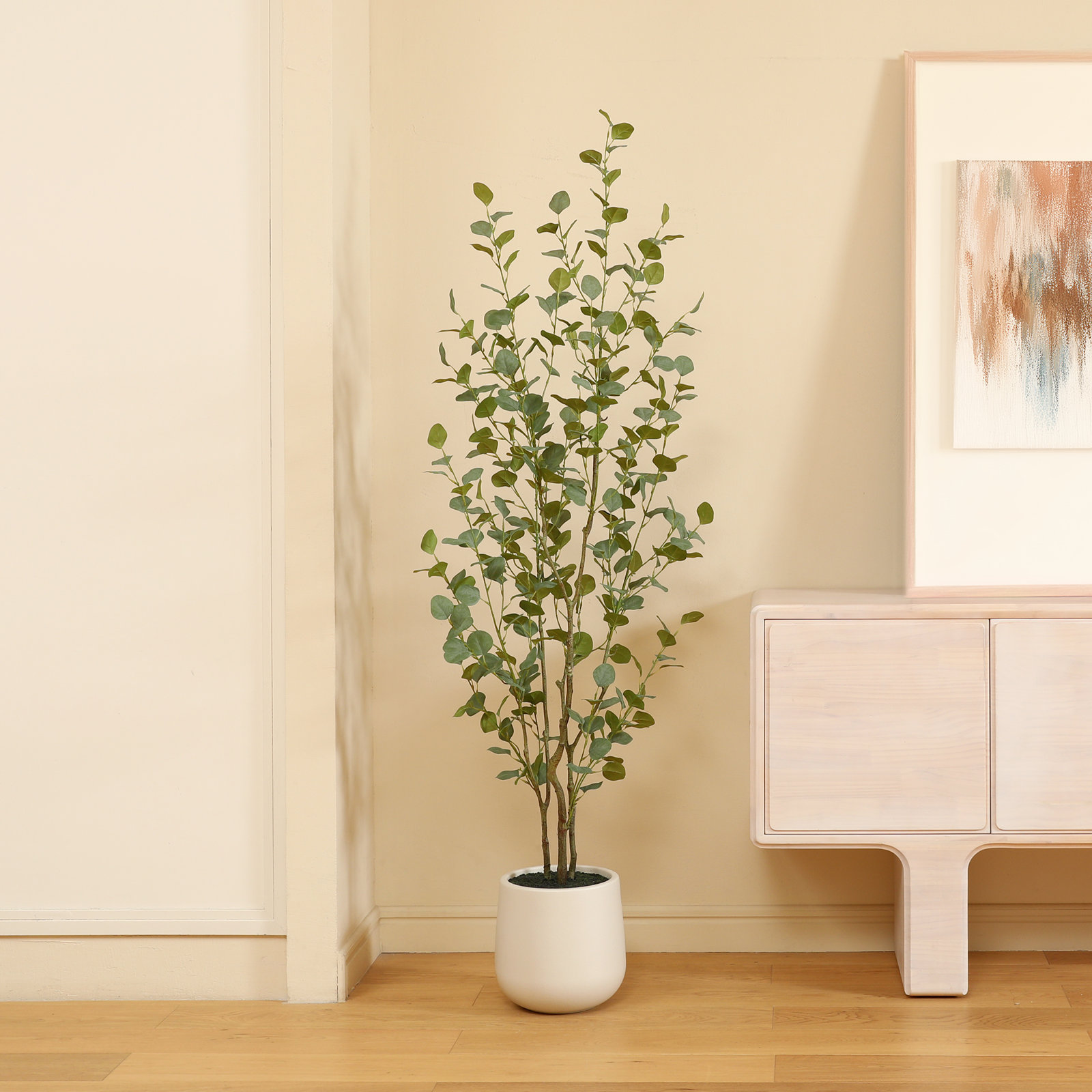 Adalia Eucalyptus Tree in Pot, 72" H x 24" W x 24" D