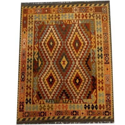 Azpeitia Wool Southwestern Indoor Rug