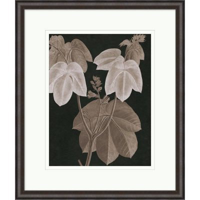 Taupe Foliage " Taupe Foliage 3 "