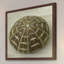 Judy Stalus - Single Picture Frame Print-20708670