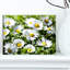 Printemps fond avec fleurs blanches - reproduction de photo sur toile tendue-19409991