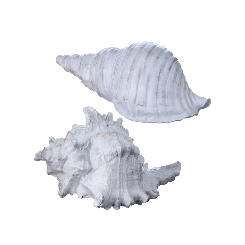 8-10" Resin Amalfi Shell