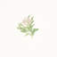 Margie Floral Wallpaper-88482301