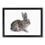 Brown Bunny Rabbit in Abstract - Picture Frame Painting Print-55681268-55681271