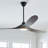 Ceiling Fan with LED Lights-1202566631-1087829340