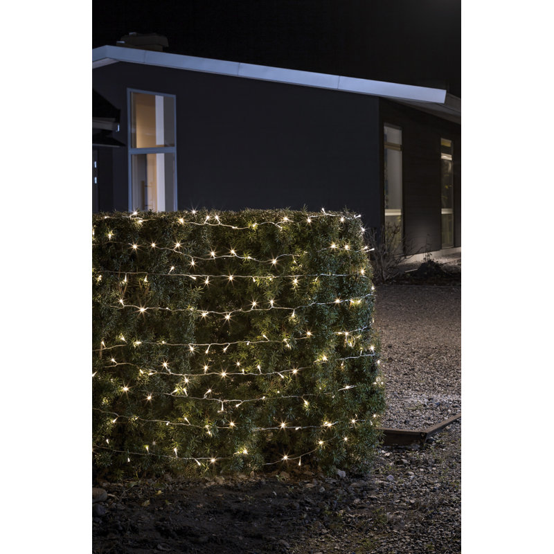 24.51cm LED Battery Powered 240 - Bulb Fairy String Light, Warm white/Transparent