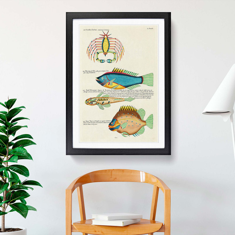East Indies Fish & Crab Illustrations L by Louis Renard - Picture Frame Painting Print, 65cm H x 48cm W x 2cm D, Black Framed