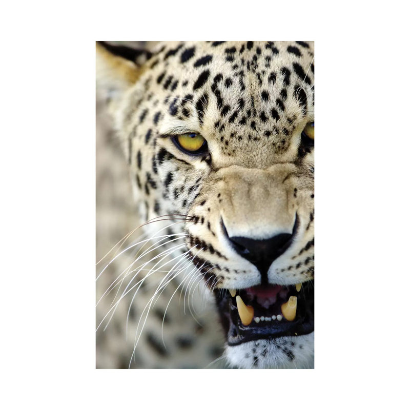 Leopard XV by Goran Anastasovski - Wrapped Canvas Print, 20.32 cm H x 30.48 cm W