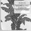Banana Tree Wallpaper, Monochrome Grey Tropical Jungle