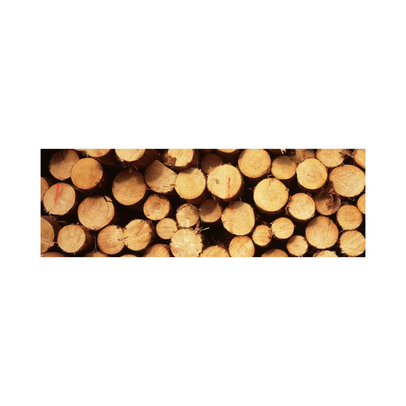 Lumbered Timber Pile, Germany - Wrapped Canvas Panoramic Print, 30.48 cm H x 91.44 cm W x 1.91 cm D