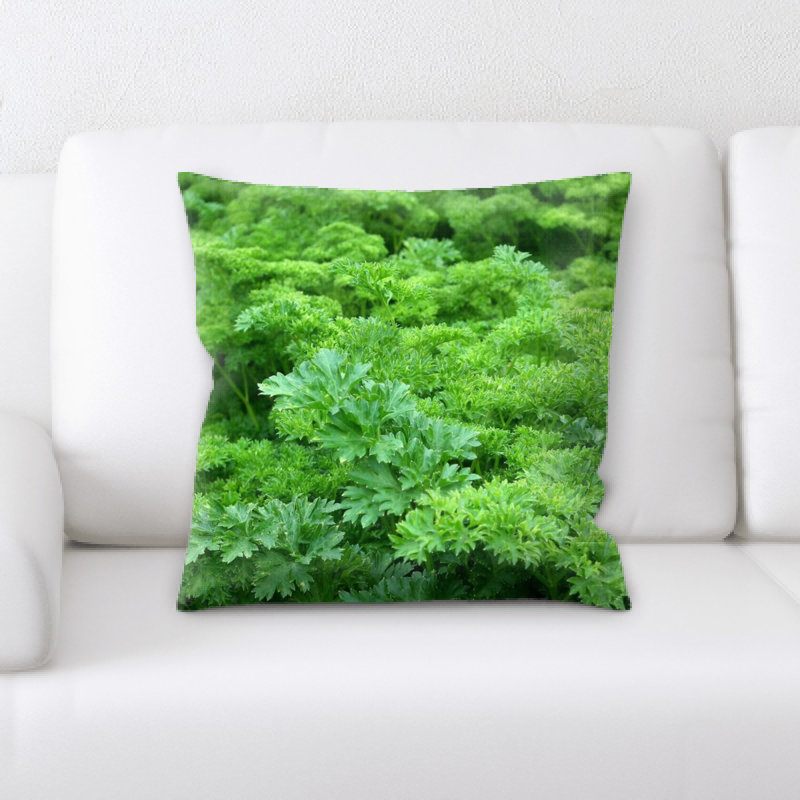Coussin parsley