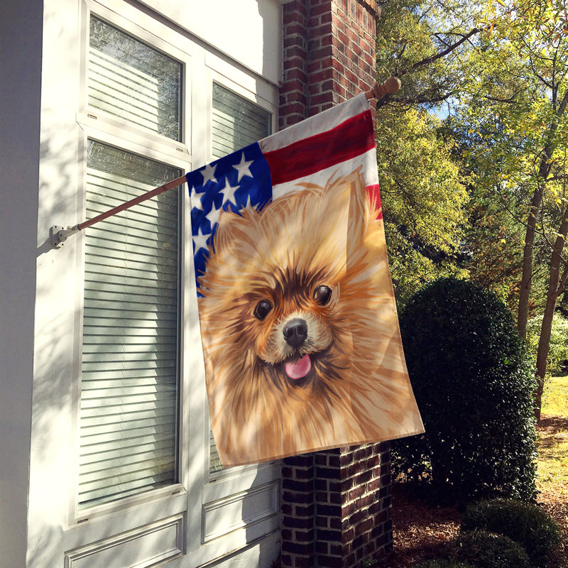 Polyester à 2 côtés 28 x 40 po drapeau maison, Loulou de Poméranie