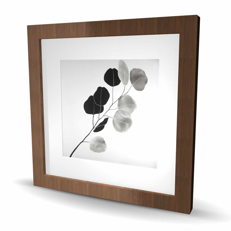 Branche en niveaux de gris avec feuilles rondes | Reproduction encadrée avec passe-partout