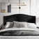 Duyne Glam Velvet Upholstered Panel Headboard