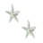 Starfish Small Knobs (set of 2)-39948825-104674675-126755979