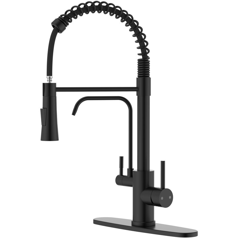 High Arch 2 Handle Faucet With Water Purifier, Matte Black