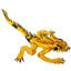 Figurine Iguana