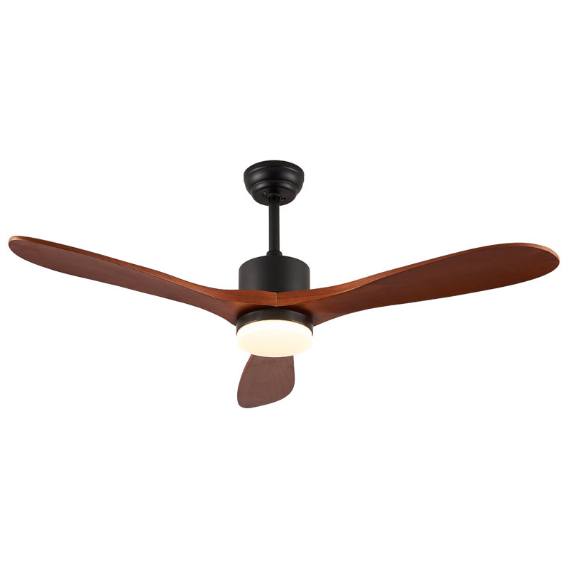 Aarshiya 52'' Ceiling Fan with LED Lights