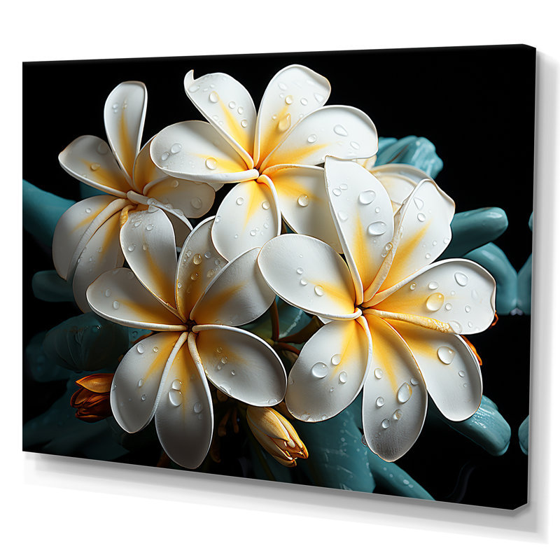 Plumeria charmante élégance II sur toile, Toile tendue, H 30 po x l 40 po x P 1,5 po