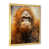 Gold Single Picture Framed