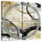 Avery Gold And Black Rings-109133415