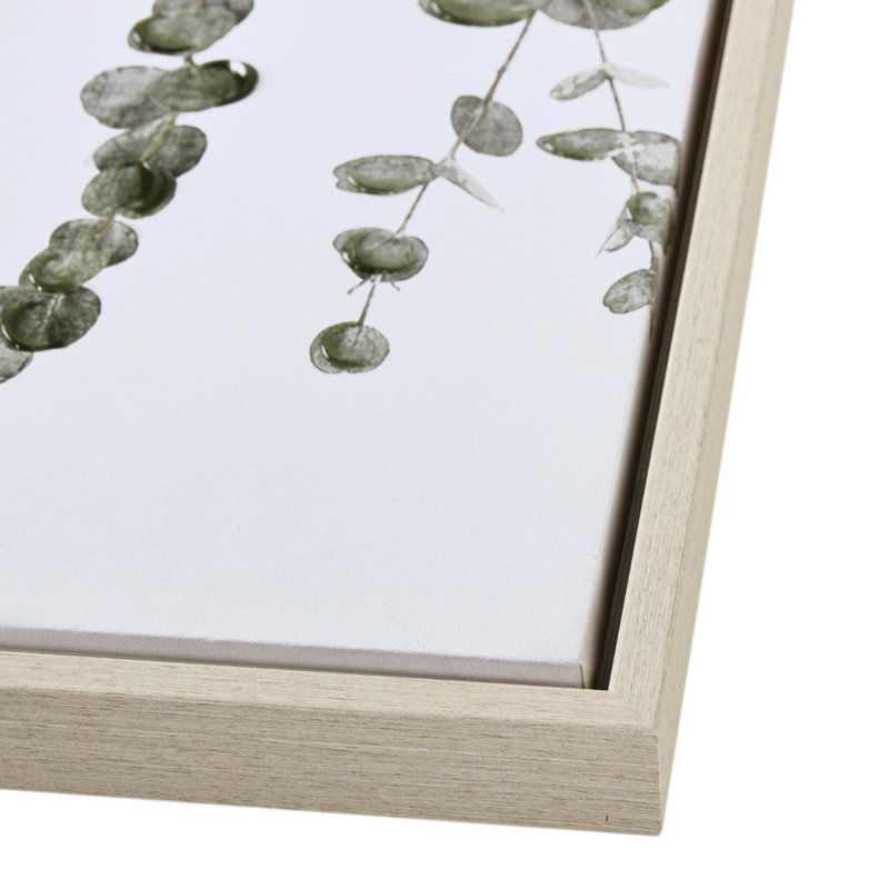 Eucalyptus, art encadré pour le couloir